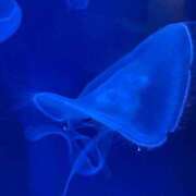 ヒメ日記 2025/07/30 16:20 投稿 かすみ 新宿・新大久保おかあさん