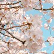 ヒメ日記 2025/06/26 08:26 投稿 あやみ 熟女デリヘル倶楽部