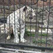 ヒメ日記 2025/10/05 20:05 投稿 もか しゃんぜりぜ