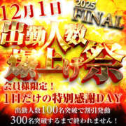 ヒメ日記 2025/11/28 15:00 投稿 もか 奥鉄オクテツ大阪