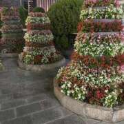 ヒメ日記 2025/07/18 19:34 投稿 ひろの 即アポ奥さん～浜松店～