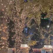 ヒメ日記 2025/12/19 19:01 投稿 みさき 熟女の風俗最終章 本厚木店