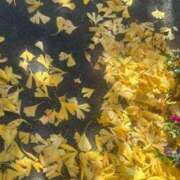 あん 道がまっ黄色で思わず撮っちゃった✨出勤します🍂📸 池袋しろパラ