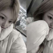 ヒメ日記 2025/12/03 11:58 投稿 さり やんちゃな子猫日本橋本店