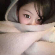 ヒメ日記 2025/12/14 13:27 投稿 さり やんちゃな子猫日本橋本店