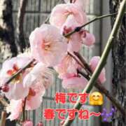 ヒメ日記 2026/02/23 08:08 投稿 るみこ 豊満熟女