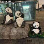 ヒメ日記 2025/12/17 11:21 投稿 水島れいな やみつきエステ千葉栄町店