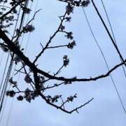 ヒメ日記 2026/02/23 09:51 投稿 水島れいな やみつきエステ千葉栄町店