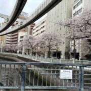 ヒメ日記 2026/04/07 12:31 投稿 水島れいな やみつきエステ千葉栄町店