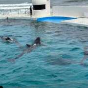 ヒメ日記 2026/06/19 19:21 投稿 水島れいな やみつきエステ千葉栄町店