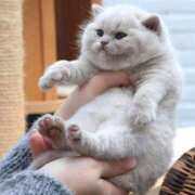 ヒメ日記 2025/06/28 21:33 投稿 あかね 諭吉専科