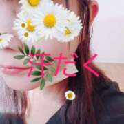 ヒメ日記 2026/04/19 11:14 投稿 あかね 諭吉専科