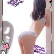 ヒメ日記 2025/08/01 17:25 投稿 おもち 奥様特急上越店