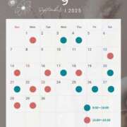 ヒメ日記 2025/09/04 11:45 投稿 宮森　さやか 響-HIBIKI-