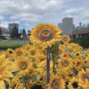 ここあ ‎🤍大事なお知らせ🤍 with SPA (ウィズスパ)