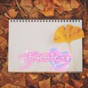 ヒメ日記 2025/11/14 16:15 投稿 初音(はつね) 高知デリヘル倶楽部 人妻熟女専門店