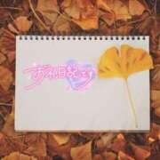 ヒメ日記 2025/11/15 01:31 投稿 初音(はつね) 高知デリヘル倶楽部 人妻熟女専門店