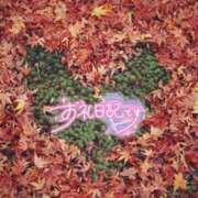 ヒメ日記 2025/11/15 15:02 投稿 初音(はつね) 高知デリヘル倶楽部 人妻熟女専門店