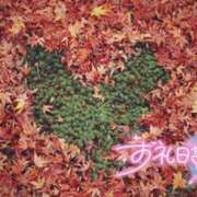 ヒメ日記 2025/11/15 20:45 投稿 初音(はつね) 高知デリヘル倶楽部 人妻熟女専門店