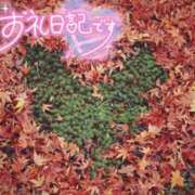 ヒメ日記 2025/11/16 01:49 投稿 初音(はつね) 高知デリヘル倶楽部 人妻熟女専門店