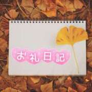 ヒメ日記 2025/11/17 03:00 投稿 初音(はつね) 高知デリヘル倶楽部 人妻熟女専門店