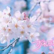 ヒメ日記 2026/03/25 03:49 投稿 初音(はつね) 高知デリヘル倶楽部 人妻熟女専門店