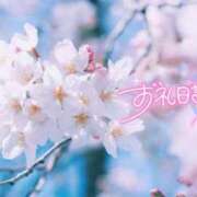 ヒメ日記 2026/03/25 04:12 投稿 初音(はつね) 高知デリヘル倶楽部 人妻熟女専門店