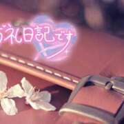 ヒメ日記 2026/03/26 00:29 投稿 初音(はつね) 高知デリヘル倶楽部 人妻熟女専門店