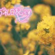 ヒメ日記 2026/04/17 14:33 投稿 初音(はつね) 高知デリヘル倶楽部 人妻熟女専門店