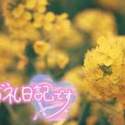 ヒメ日記 2026/04/17 23:54 投稿 初音(はつね) 高知デリヘル倶楽部 人妻熟女専門店