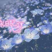ヒメ日記 2026/04/19 20:16 投稿 初音(はつね) 高知デリヘル倶楽部 人妻熟女専門店
