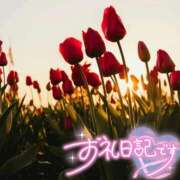 ヒメ日記 2026/05/04 22:45 投稿 初音(はつね) 高知デリヘル倶楽部 人妻熟女専門店