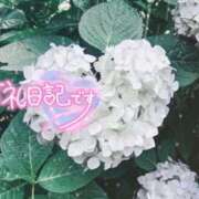 ヒメ日記 2026/06/04 15:48 投稿 初音(はつね) 高知デリヘル倶楽部 人妻熟女専門店