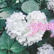 ヒメ日記 2026/06/04 20:44 投稿 初音(はつね) 高知デリヘル倶楽部 人妻熟女専門店
