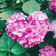 ヒメ日記 2026/06/07 02:42 投稿 初音(はつね) 高知デリヘル倶楽部 人妻熟女専門店