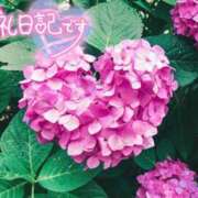 ヒメ日記 2026/06/07 03:25 投稿 初音(はつね) 高知デリヘル倶楽部 人妻熟女専門店