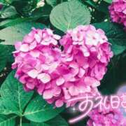 ヒメ日記 2026/06/07 08:57 投稿 初音(はつね) 高知デリヘル倶楽部 人妻熟女専門店
