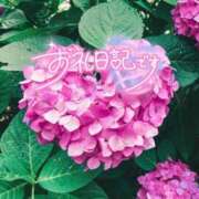 ヒメ日記 2026/06/07 09:29 投稿 初音(はつね) 高知デリヘル倶楽部 人妻熟女専門店