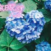 ヒメ日記 2026/06/07 11:42 投稿 初音(はつね) 高知デリヘル倶楽部 人妻熟女専門店