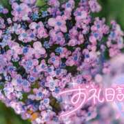 ヒメ日記 2026/06/09 08:47 投稿 初音(はつね) 高知デリヘル倶楽部 人妻熟女専門店