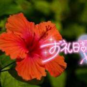 ヒメ日記 2026/08/13 01:35 投稿 初音(はつね) 高知デリヘル倶楽部 人妻熟女専門店
