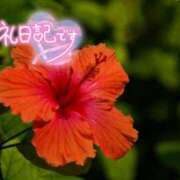 ヒメ日記 2026/08/13 08:19 投稿 初音(はつね) 高知デリヘル倶楽部 人妻熟女専門店