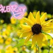 ヒメ日記 2026/08/13 19:12 投稿 初音(はつね) 高知デリヘル倶楽部 人妻熟女専門店