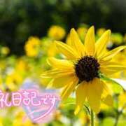 ヒメ日記 2026/08/14 08:08 投稿 初音(はつね) 高知デリヘル倶楽部 人妻熟女専門店