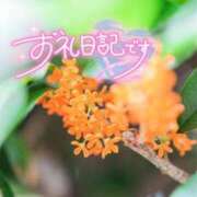 ヒメ日記 2026/09/30 03:19 投稿 初音(はつね) 高知デリヘル倶楽部 人妻熟女専門店