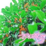 ヒメ日記 2026/10/01 03:09 投稿 初音(はつね) 高知デリヘル倶楽部 人妻熟女専門店