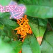 ヒメ日記 2026/10/02 18:37 投稿 初音(はつね) 高知デリヘル倶楽部 人妻熟女専門店