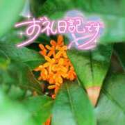 ヒメ日記 2026/10/03 03:42 投稿 初音(はつね) 高知デリヘル倶楽部 人妻熟女専門店