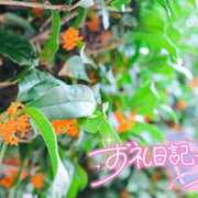 ヒメ日記 2026/10/04 03:50 投稿 初音(はつね) 高知デリヘル倶楽部 人妻熟女専門店