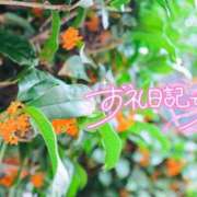 ヒメ日記 2026/10/04 04:15 投稿 初音(はつね) 高知デリヘル倶楽部 人妻熟女専門店